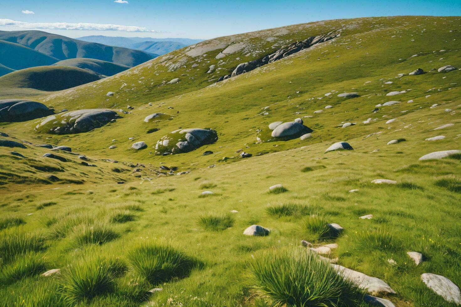 AI generated Lush Grassland Among Rolling Hills photo