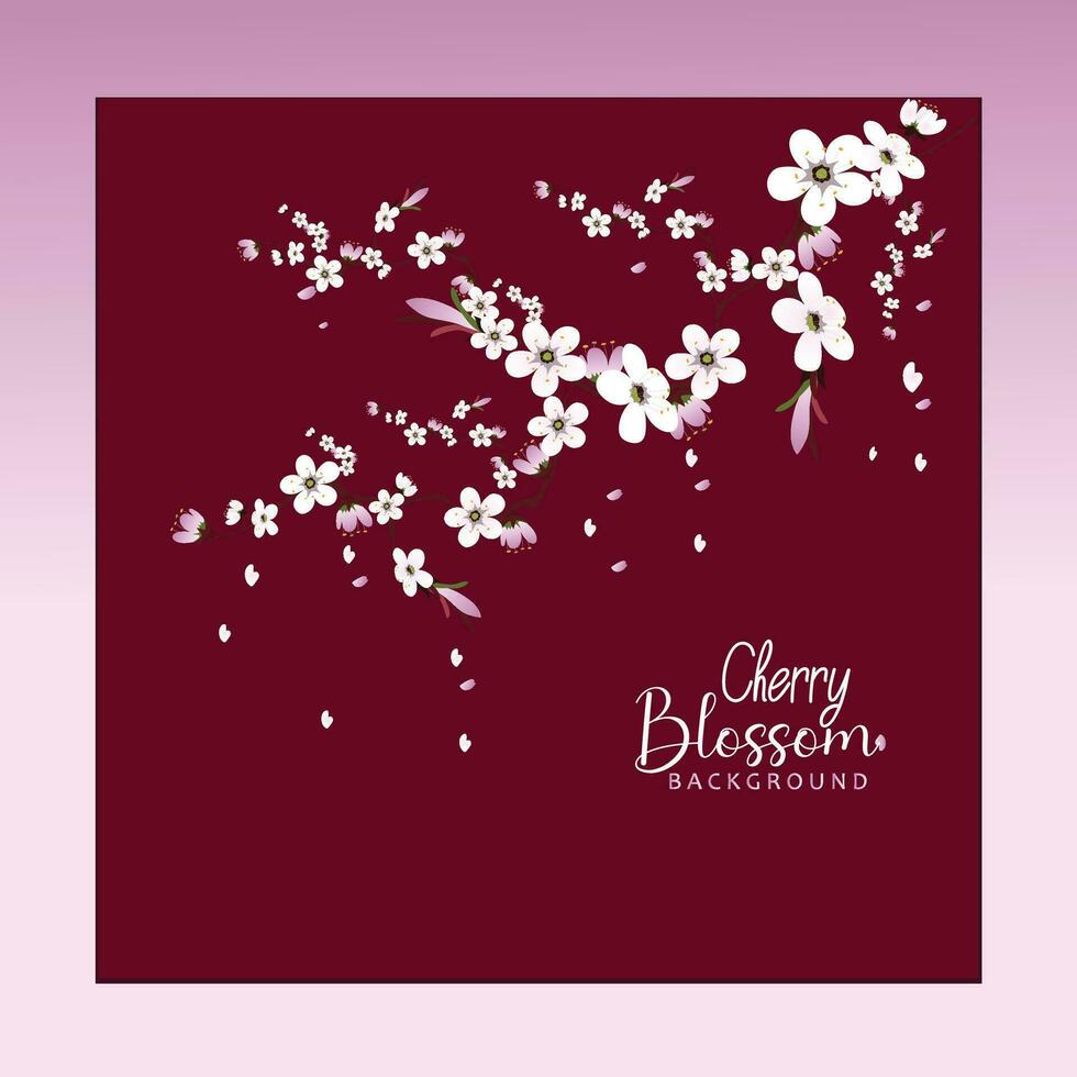 Free vector cherry blossom flowers red background.