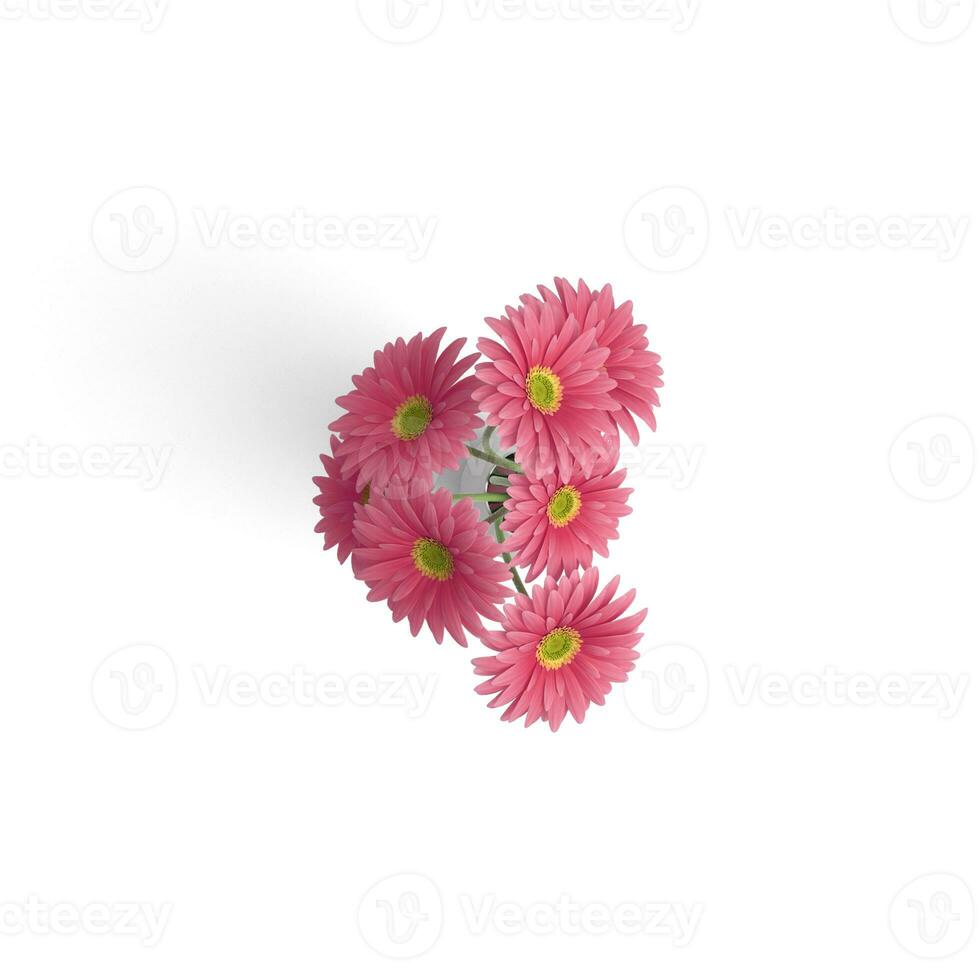 Blossom Brilliance Embracing Natures Floral Charm isolated on white background photo