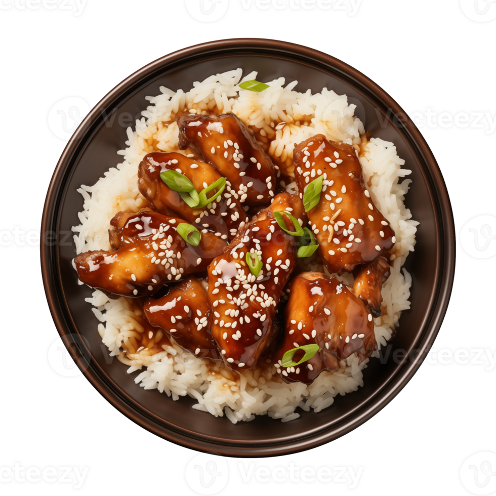 AI generated A plate of teriyaki chicken with rice isolated on a transparent background, top view png