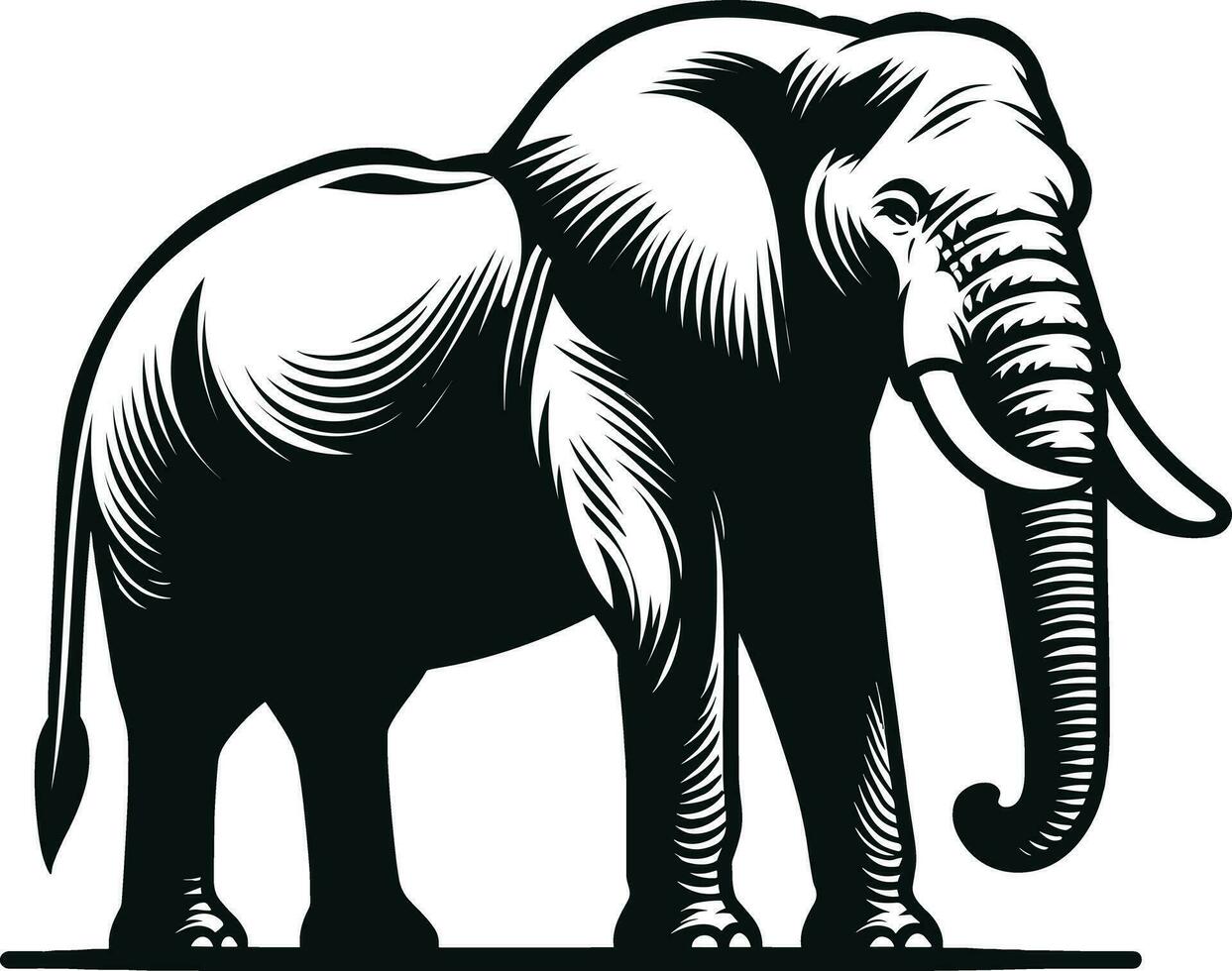 Elephant Silhouette Illustration Pro Vector
