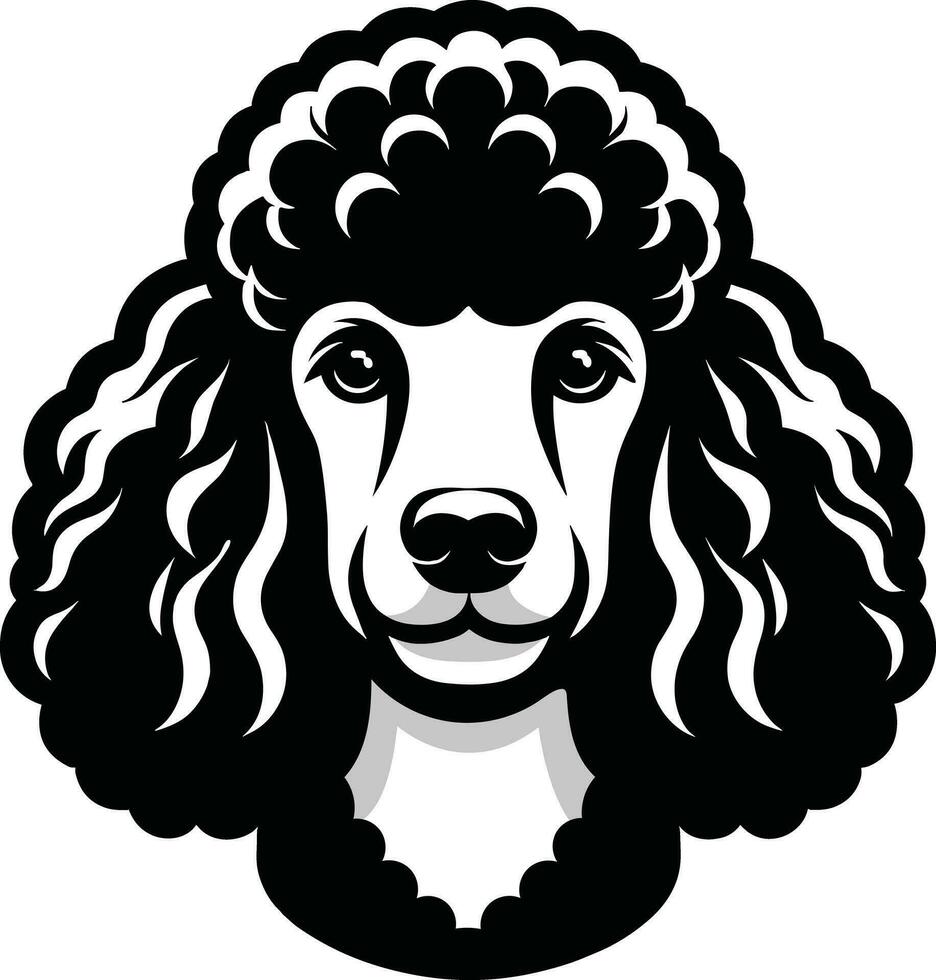 Poodle dog face isolated illustration pro vector