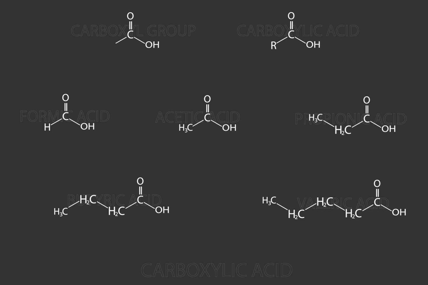 Carboxylic acid molecular skeletal chemical formula vector