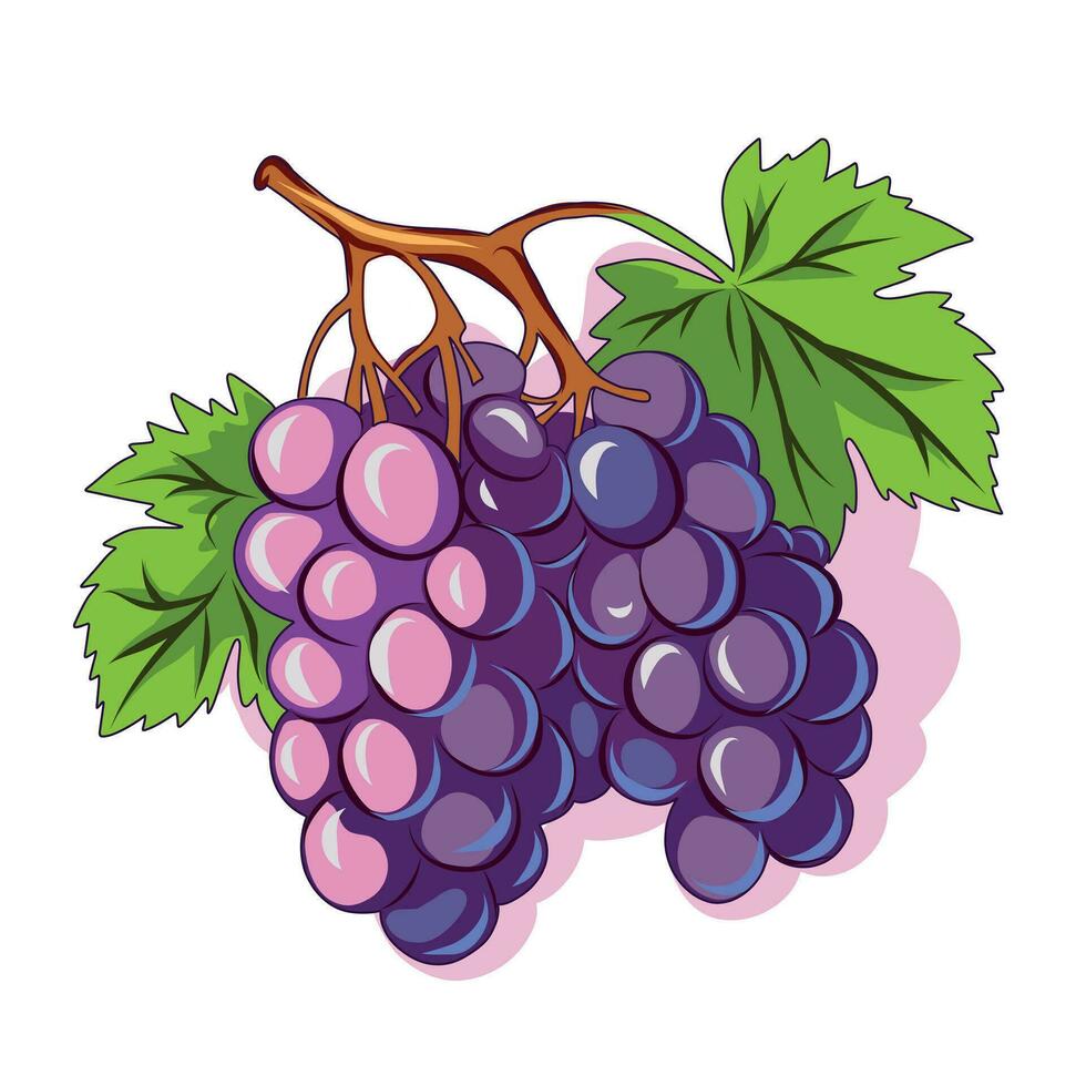 Vector bunch of grapes, vector blue grapes, grapes on a branch flat flat illustration