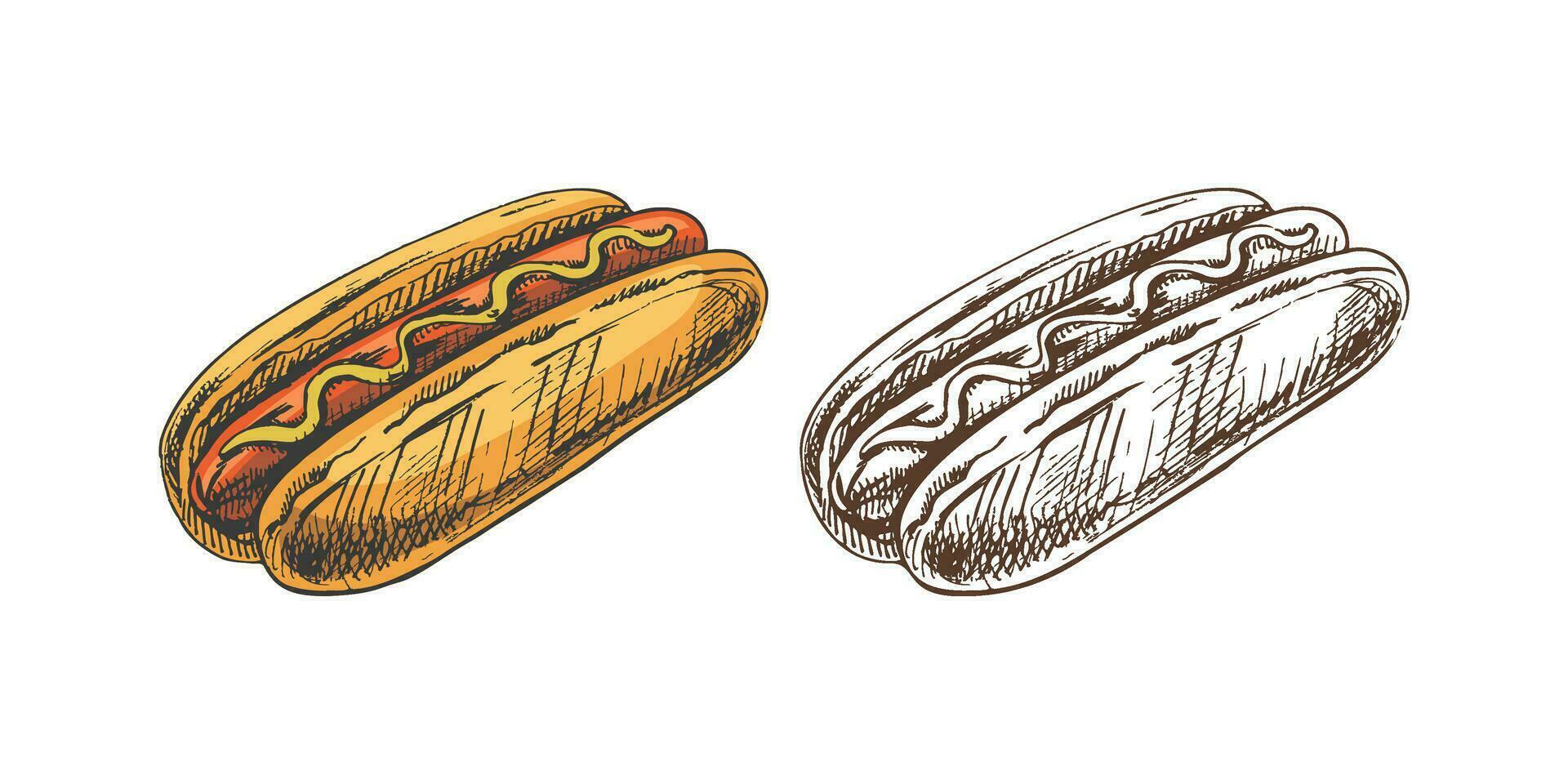 dibujado a mano de colores y monocromo bocetos de caliente perros aislado en blanco antecedentes. rápido comida ilustración. Clásico dibujo. genial para menú, póster o restaurante antecedentes. vector