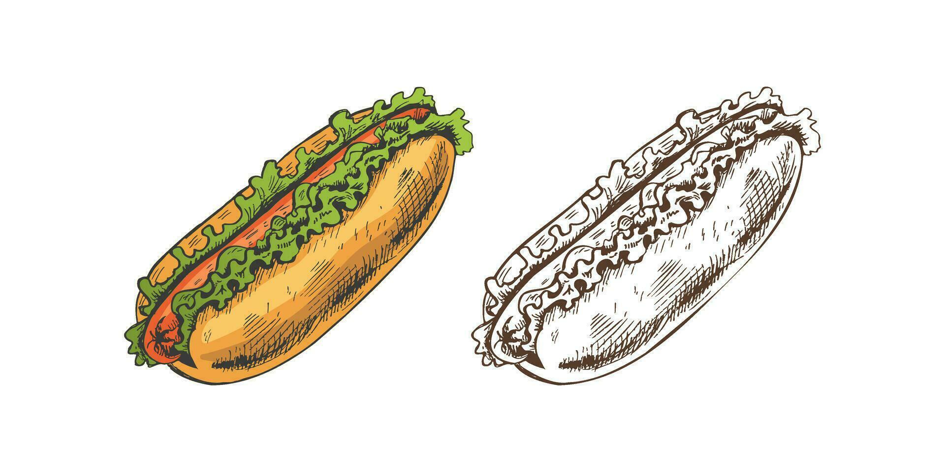 dibujado a mano de colores y monocromo bocetos de caliente perros aislado en blanco antecedentes. rápido comida ilustración. Clásico dibujo. genial para menú, póster o restaurante antecedentes. vector