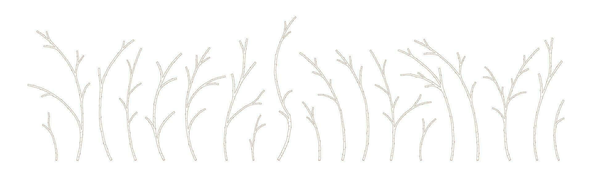 Apricot tree branches set, vector illustration