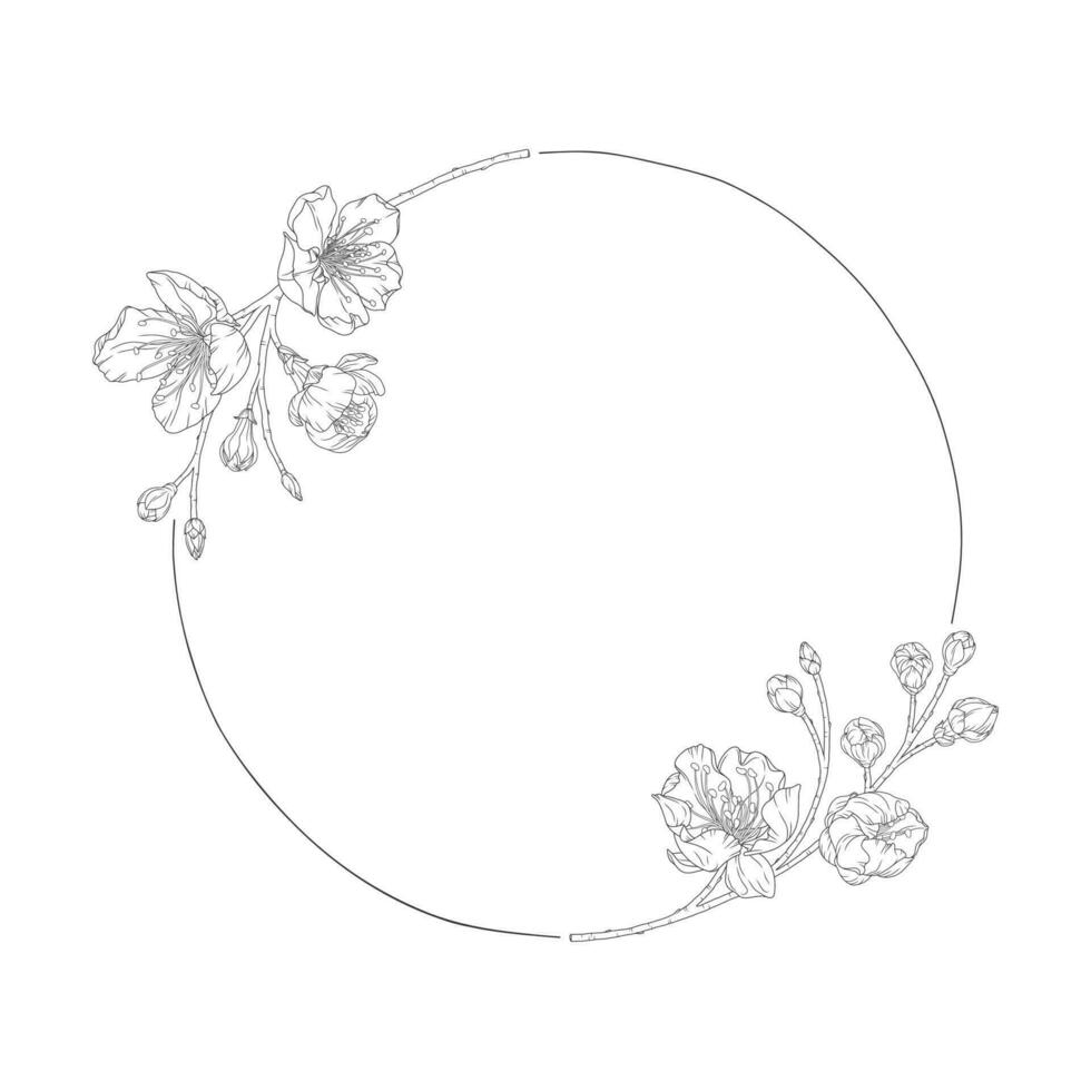Wreath of blossom apricot flowers, buds and branches vector