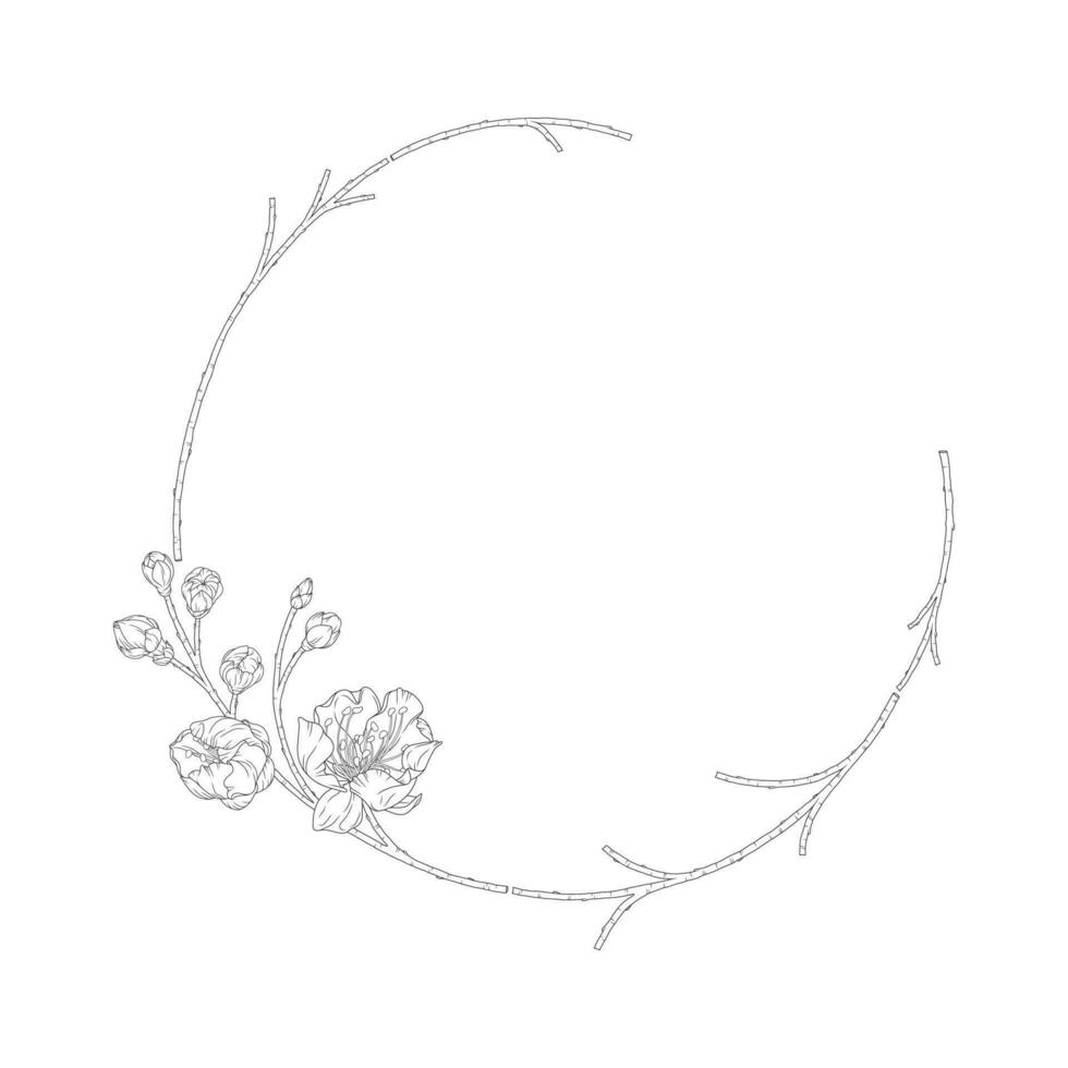 Wreath of blossom apricot flowers, buds and branches vector