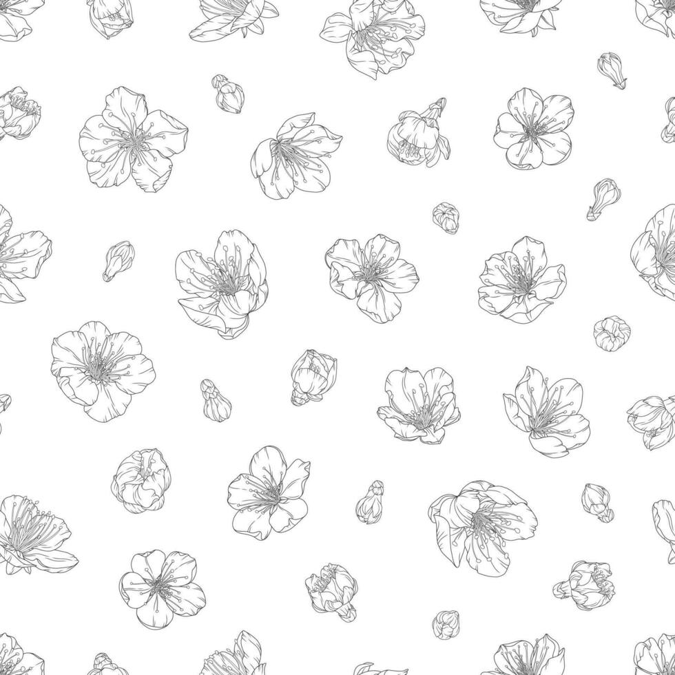 Vector seamless pattern with blooming apricot flowers