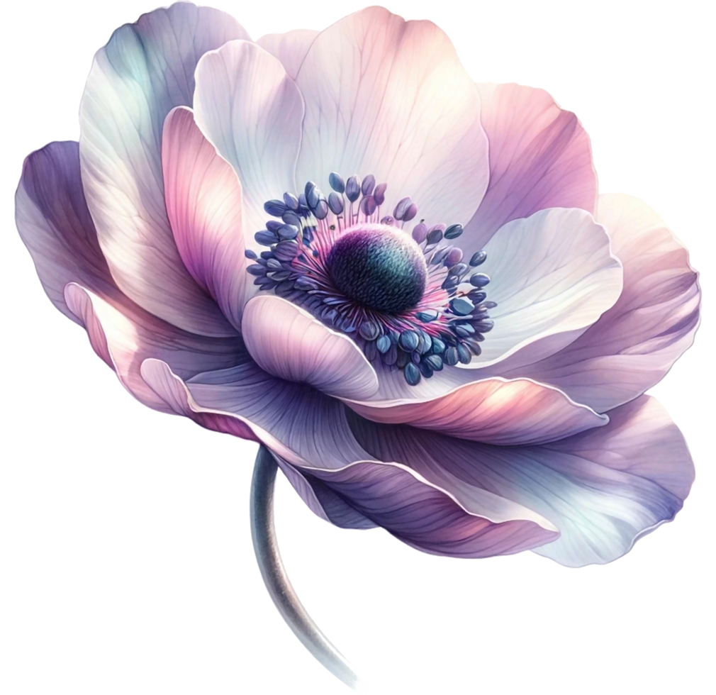 AI generated Watercolor Anemone flower png transparent background, Generative AI free PNG