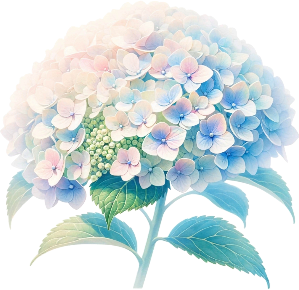 AI generated Watercolor Hydrangea flower png transparent background, Generative AI free PNG