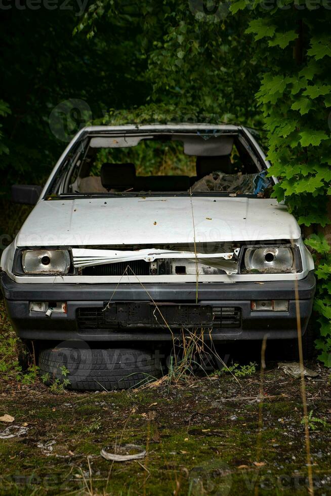 old dilapidated car in a forest photo