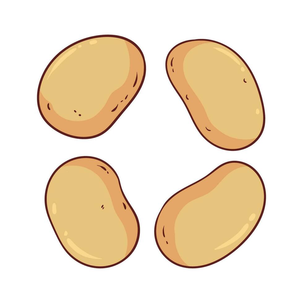 vector illustration of some potatoes