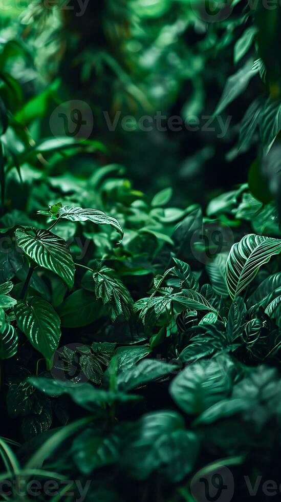 AI generated Beautiful tropical green leaves background. Nature concept photo