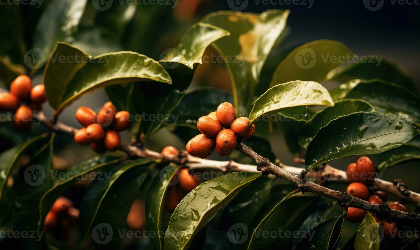 AI generated Close-up of a branch laden with vibrant berries and glossy leaves photo