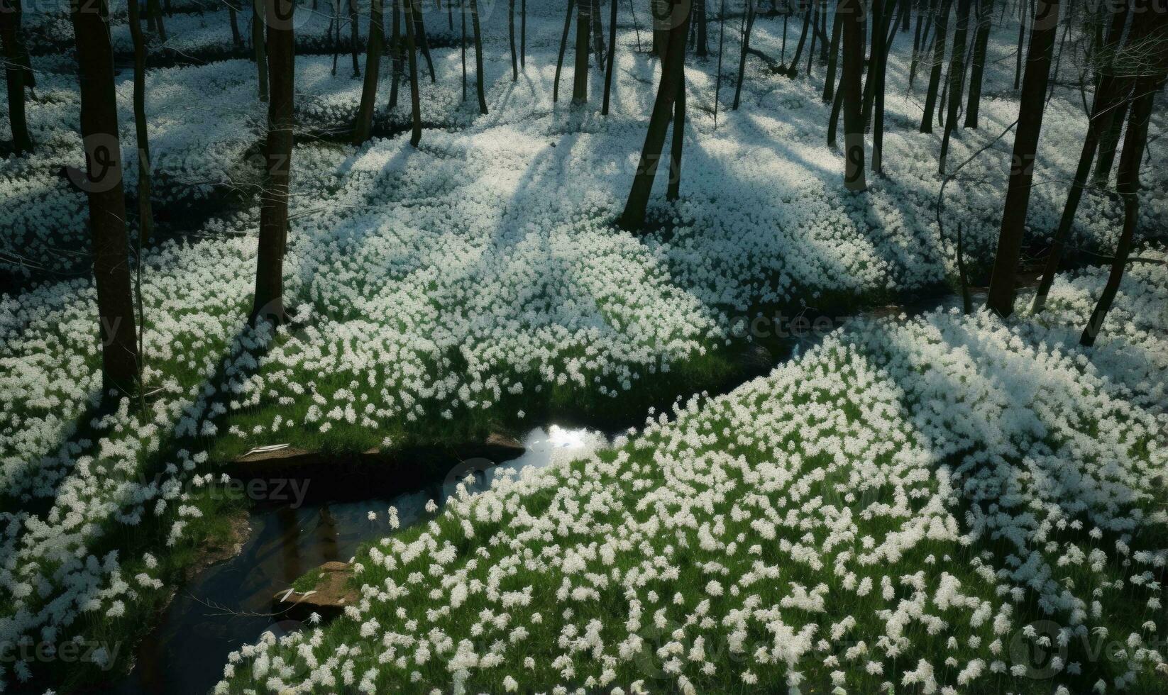 ai generado bosque cubierto con campanillas de invierno temprano primavera paisaje foto