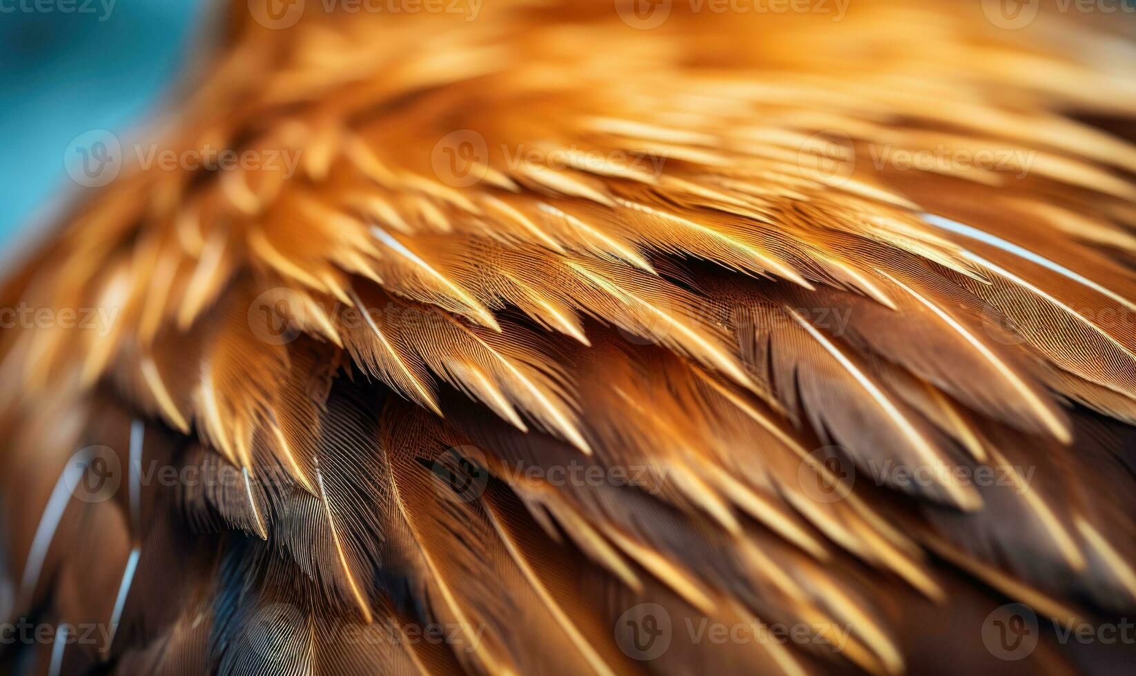 ai generado cerca arriba de el plumas de un águila. plumas de cerca antecedentes foto