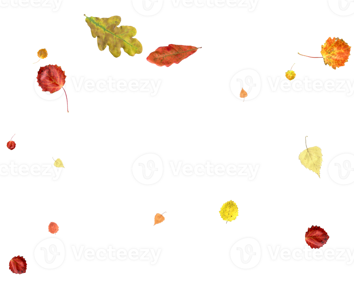 Colorful autumn texture from falling leaves. png