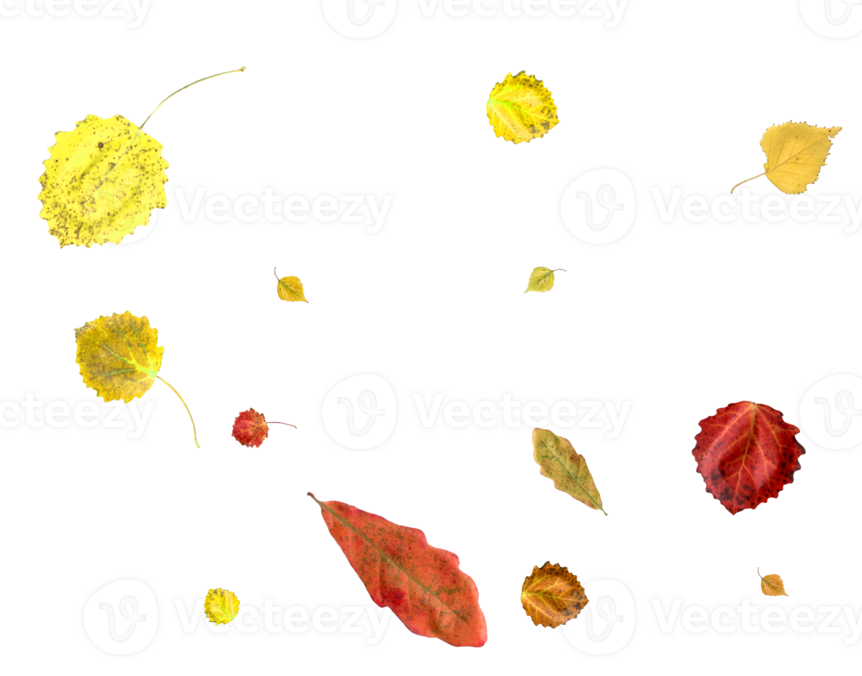 Bright and colorful falling autumn leaves. png
