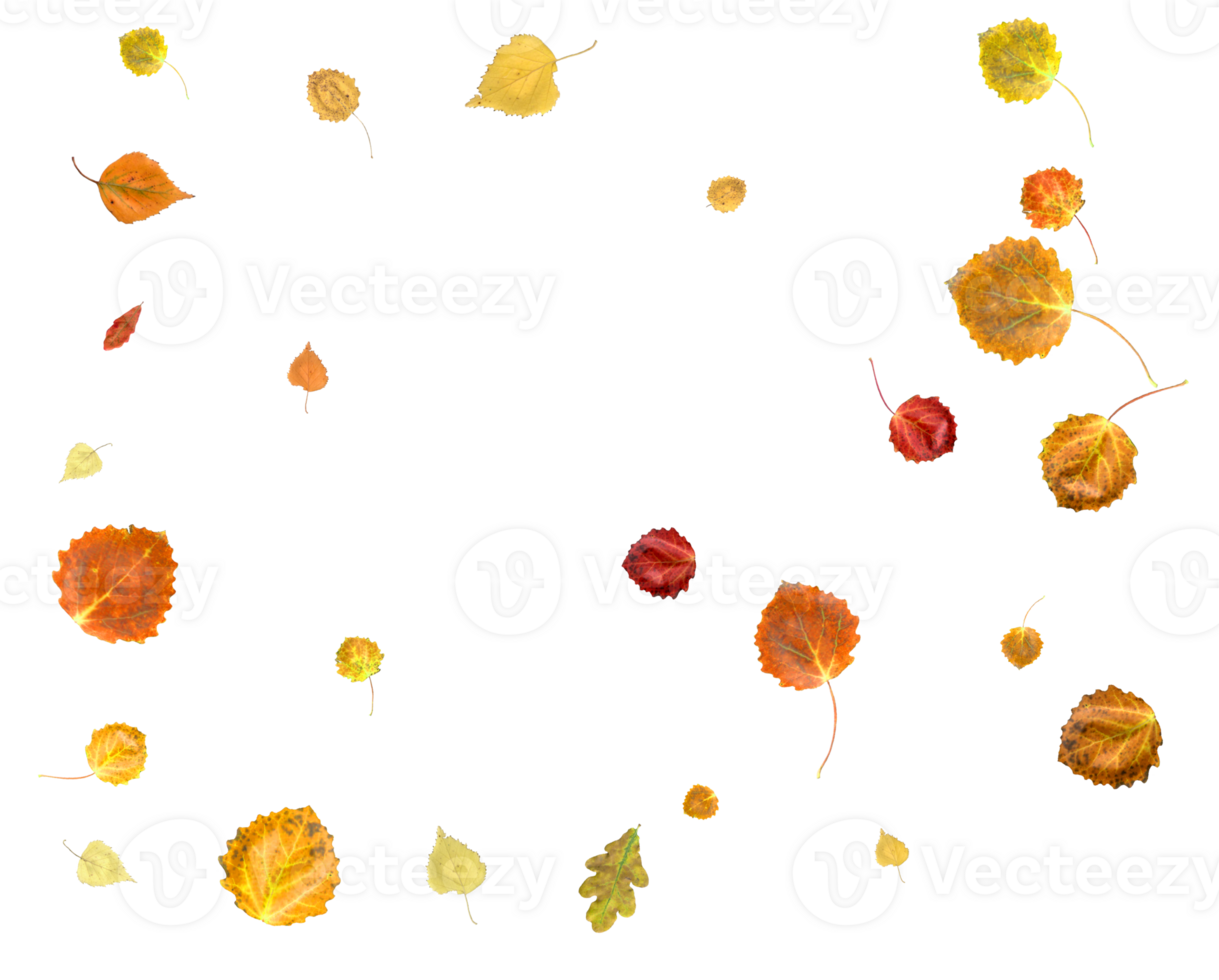 Bright autumn digital paper made from falling leaves. png