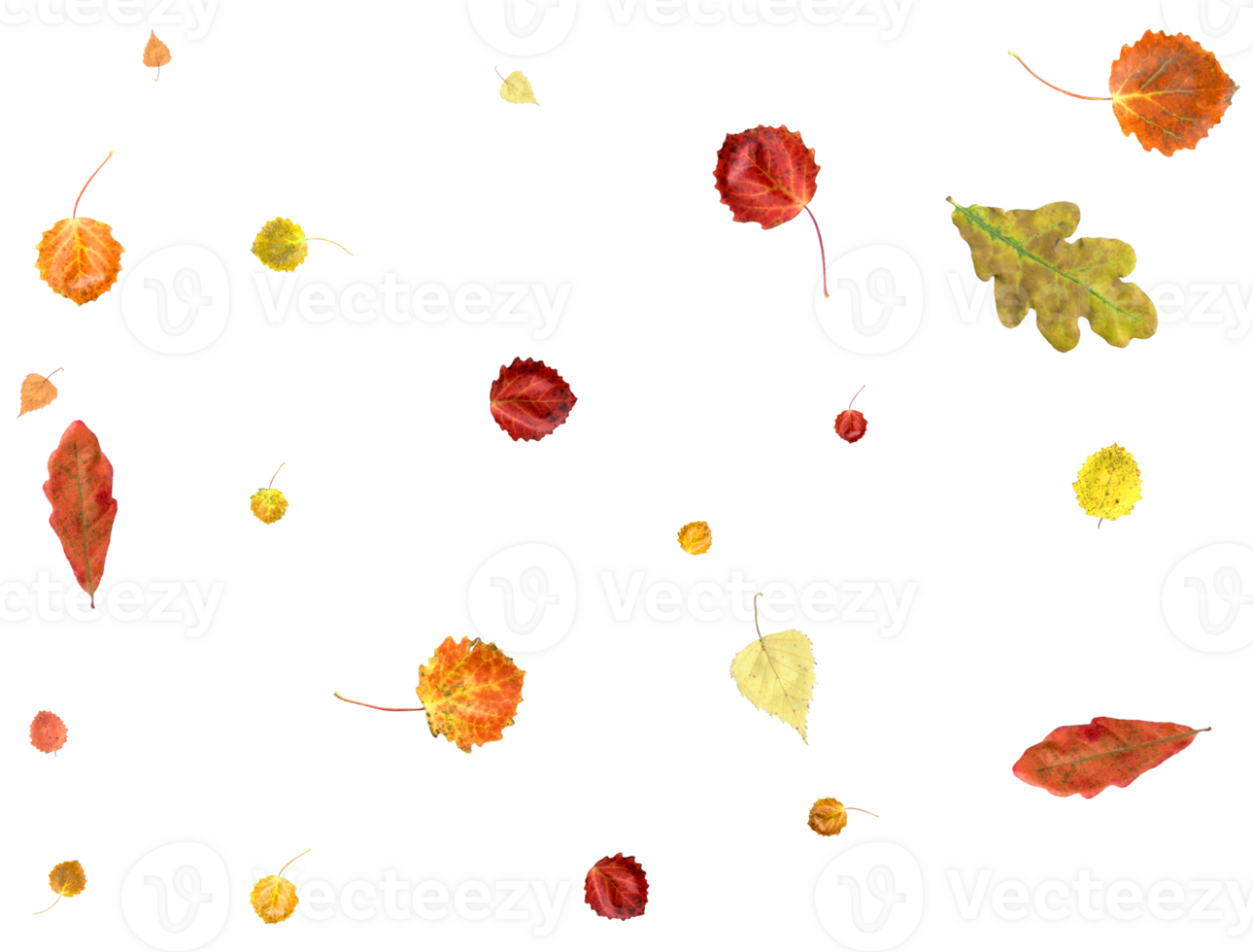 Colorful autumn texture from falling leaves. png