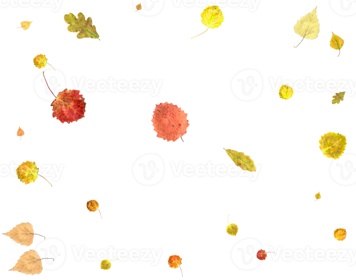 Colorful autumn texture from falling leaves. png