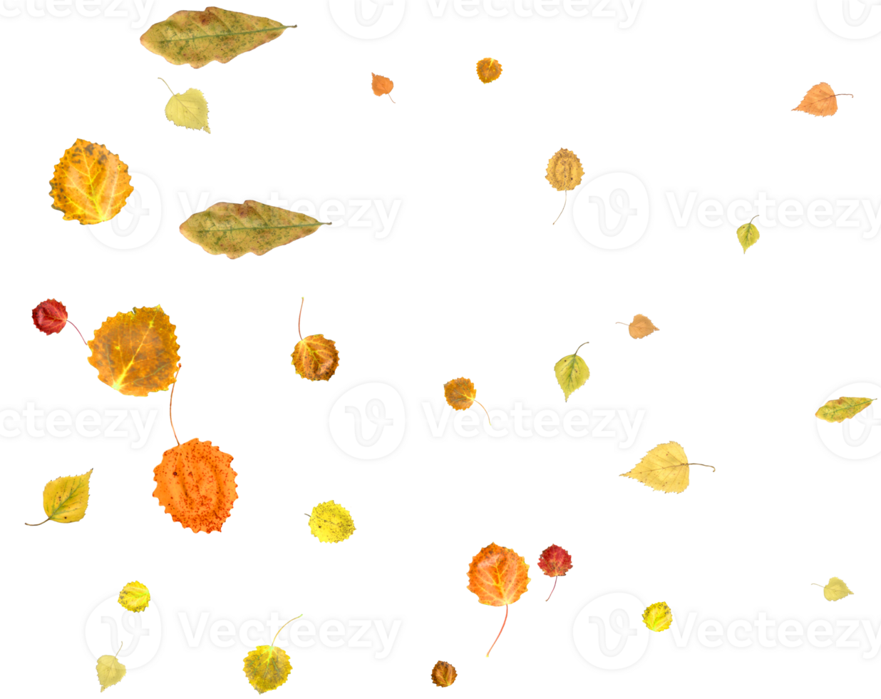 Falling autumn leaves. png