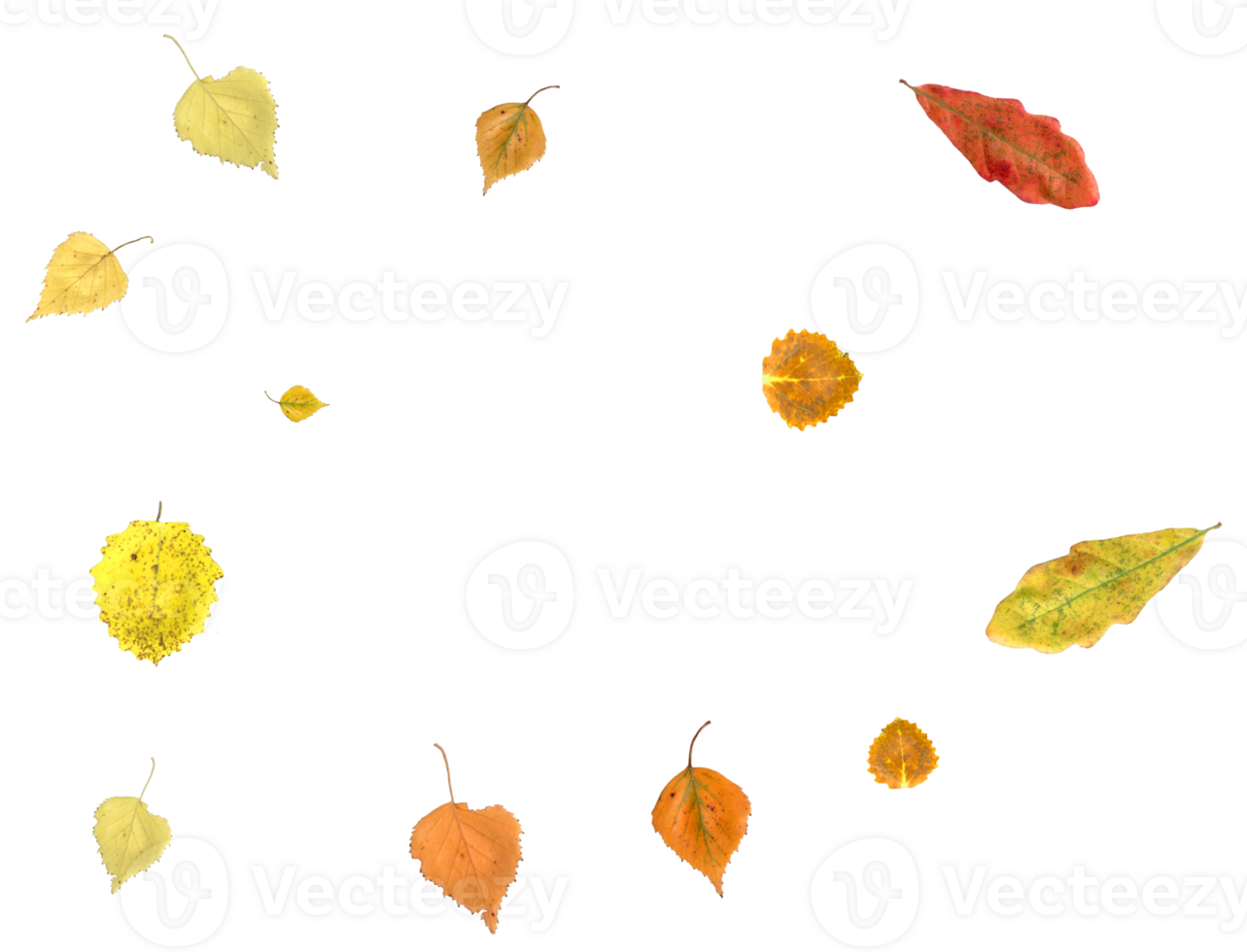 Bright autumn background from falling leaves. png
