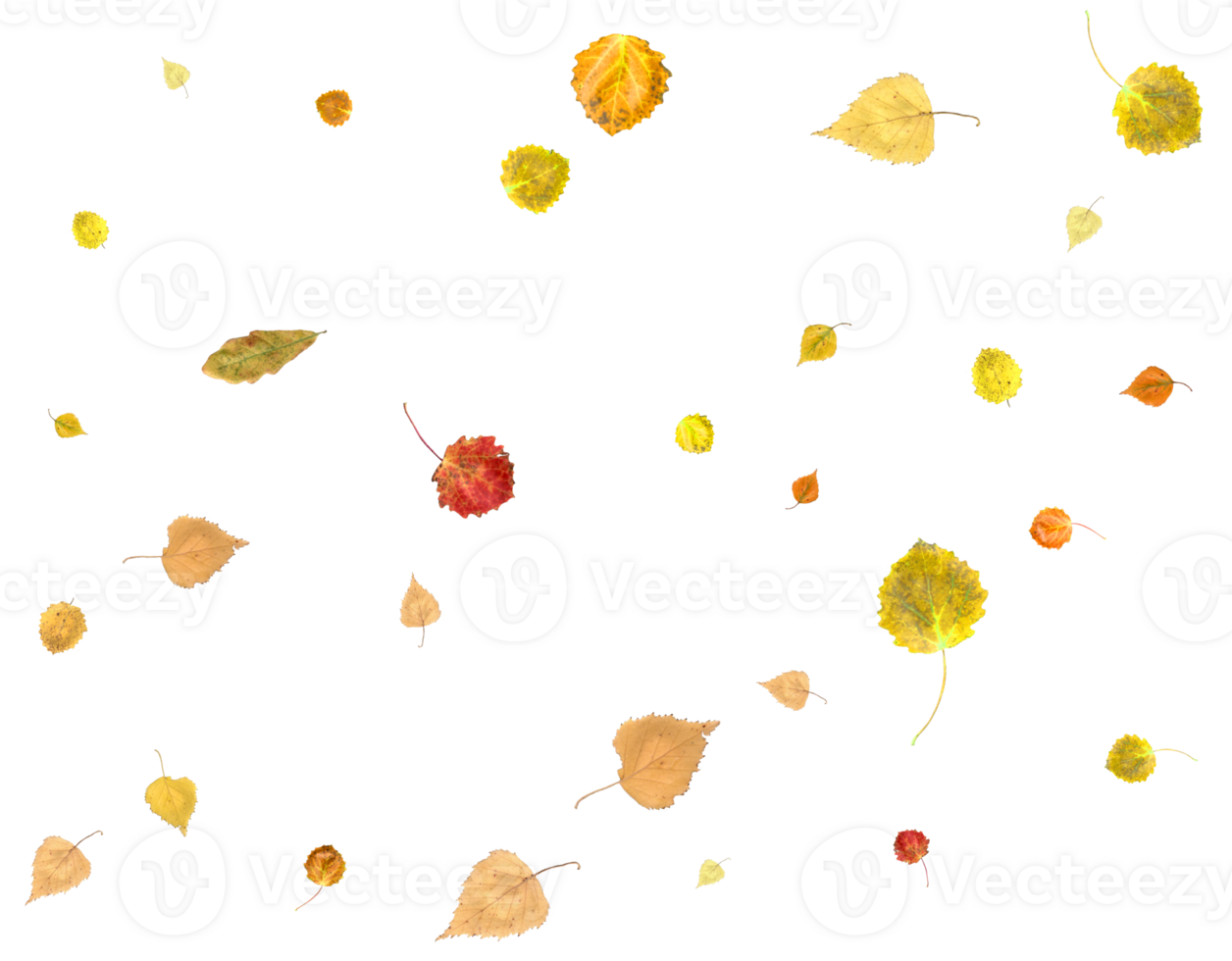 Colorful autumn texture from falling leaves. png