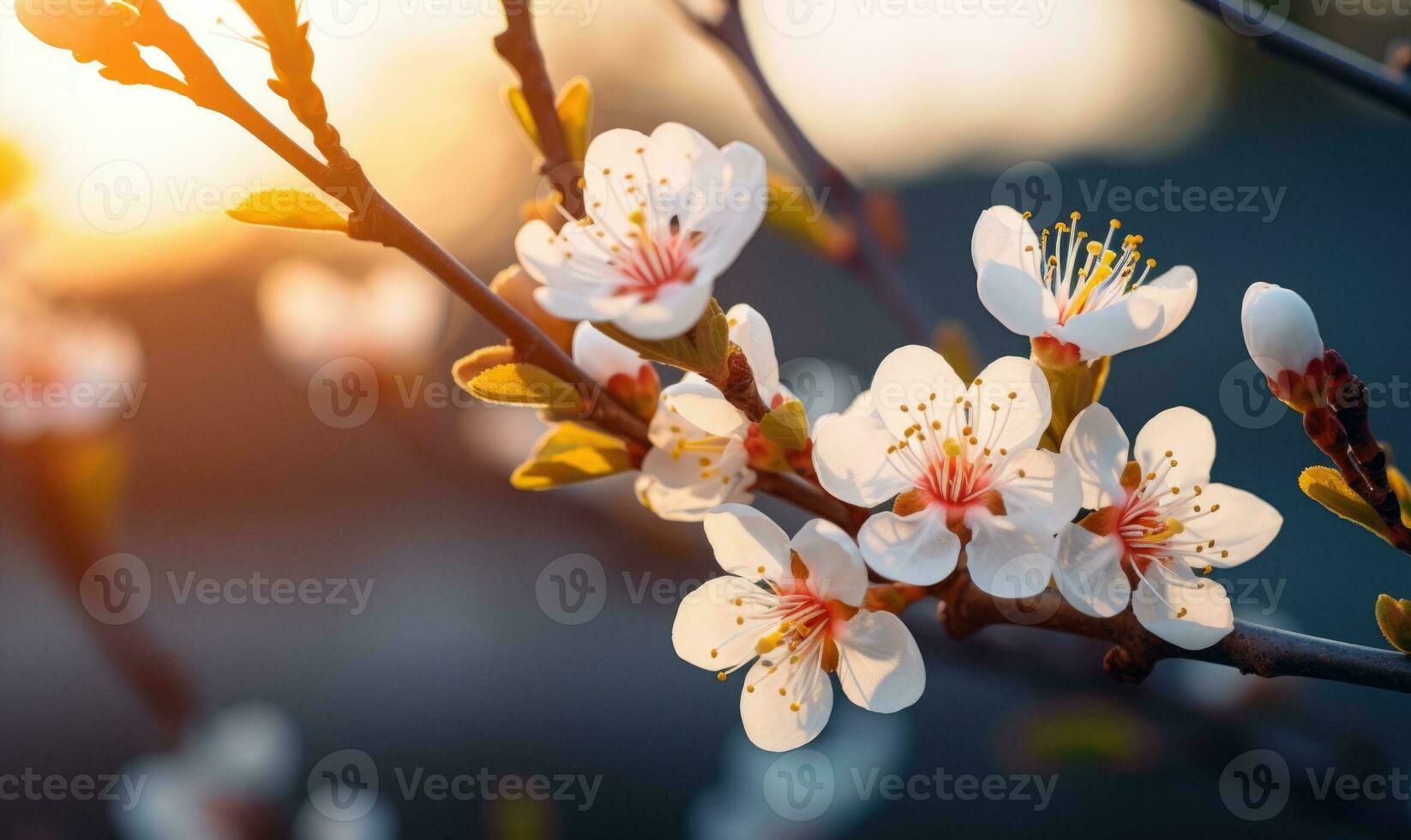 AI generated Blossoming branch of peach in the rays of the setting sun photo