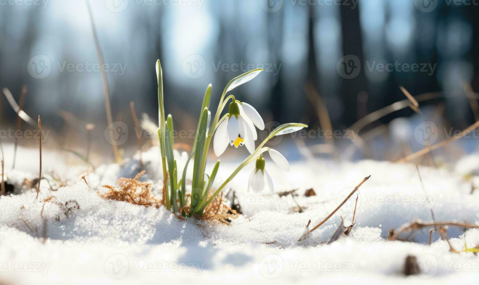 ai generado hermosa campanilla de febrero flores creciente en bosque, de cerca. temprano primavera. selectivo enfocar, bokeh ligero foto