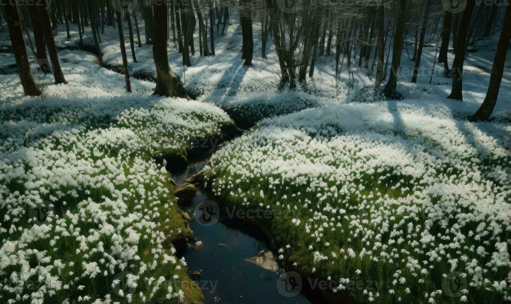 ai generado bosque cubierto con campanillas de invierno temprano primavera paisaje foto