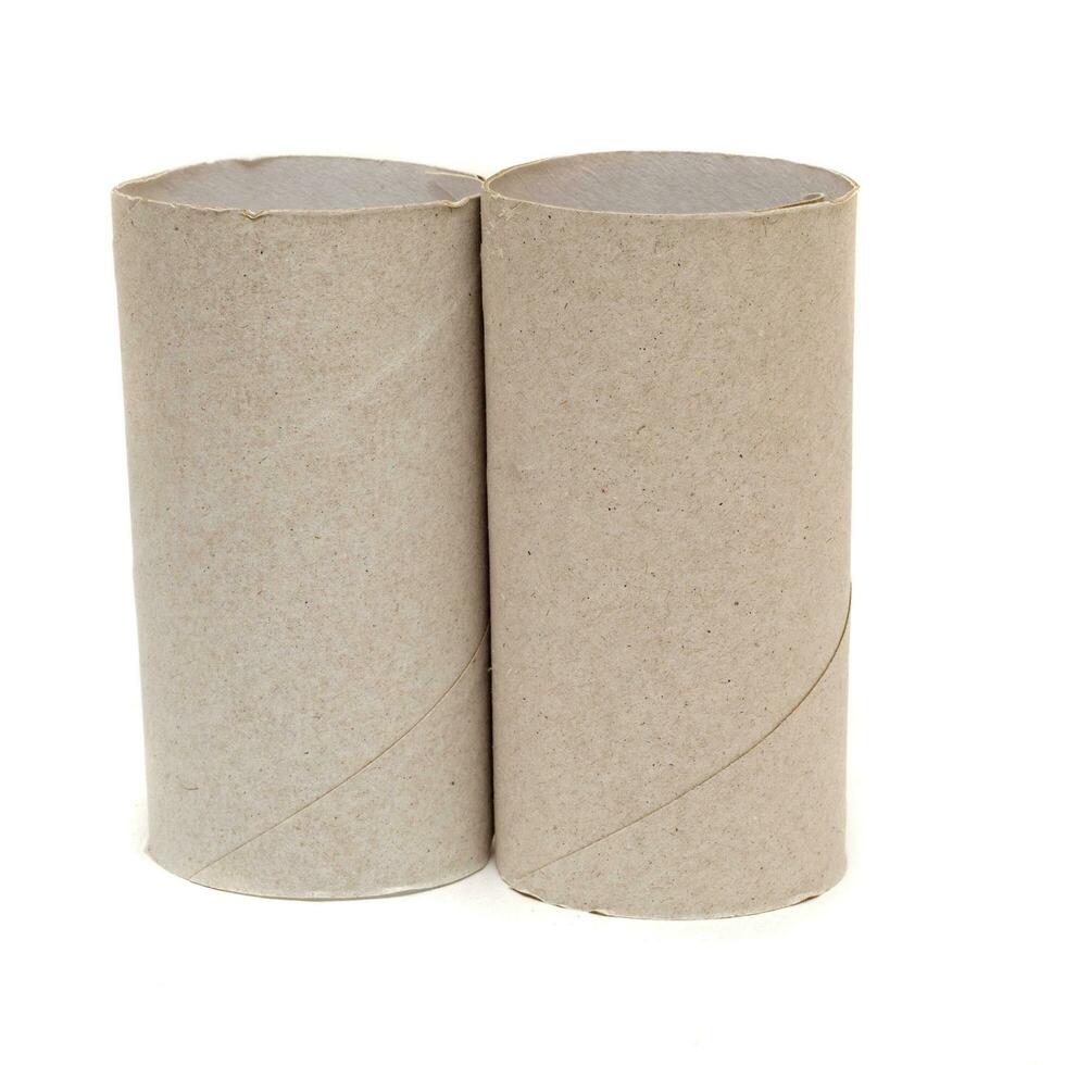 Two grey empty toilet rolls isolated on white background photo