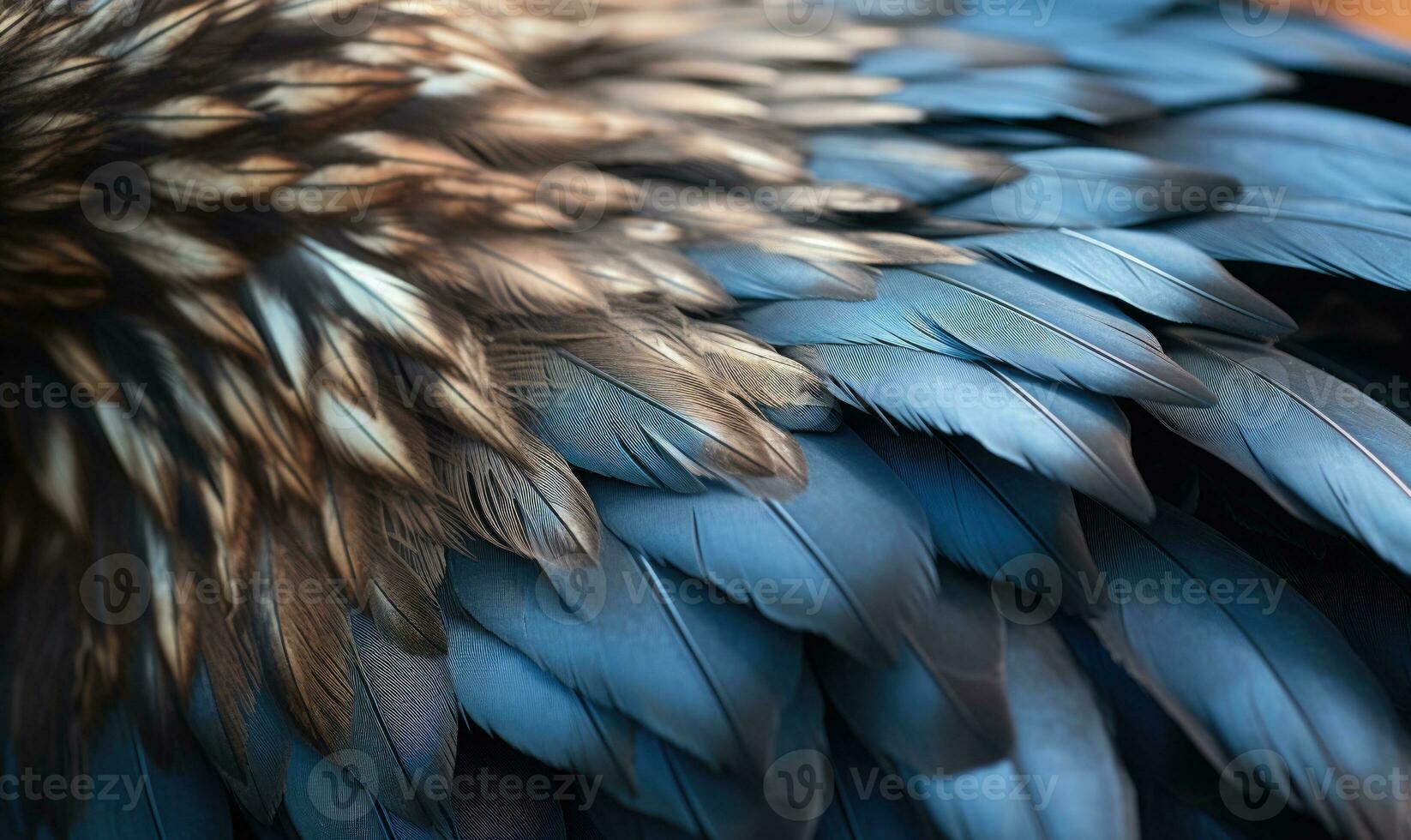 AI generated close up of the feathers of a eagle. feathers closeup background photo