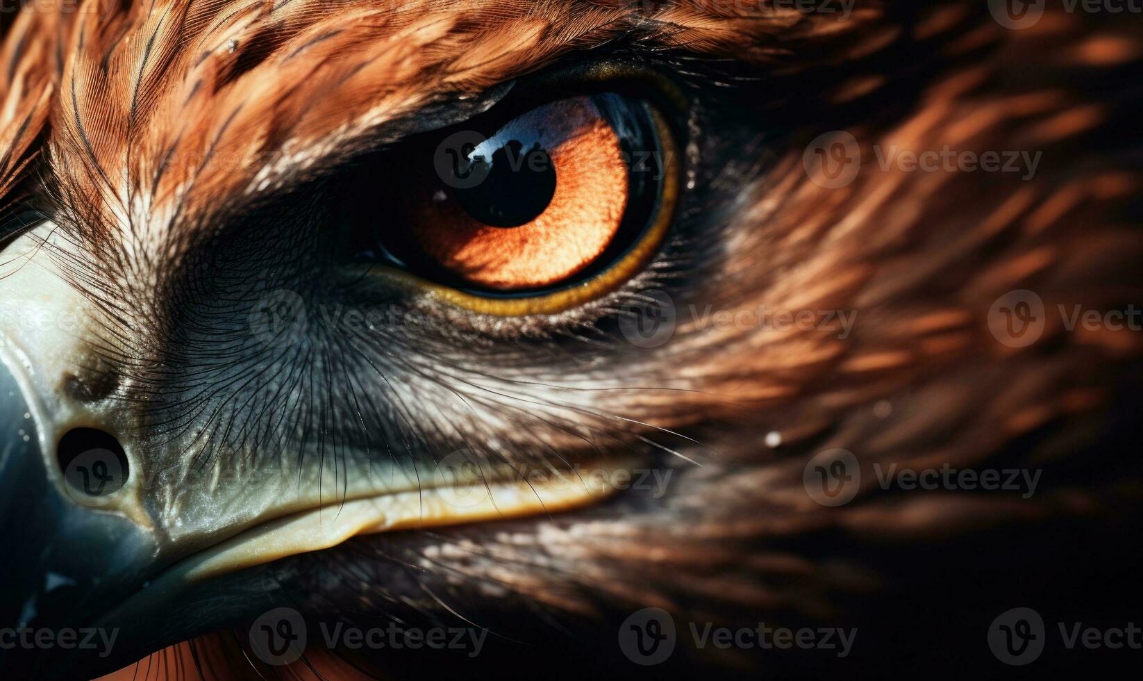 AI generated Portrait of a Red-tailed hawk, close-up. Close-up portrait of a golden eagle eye photo