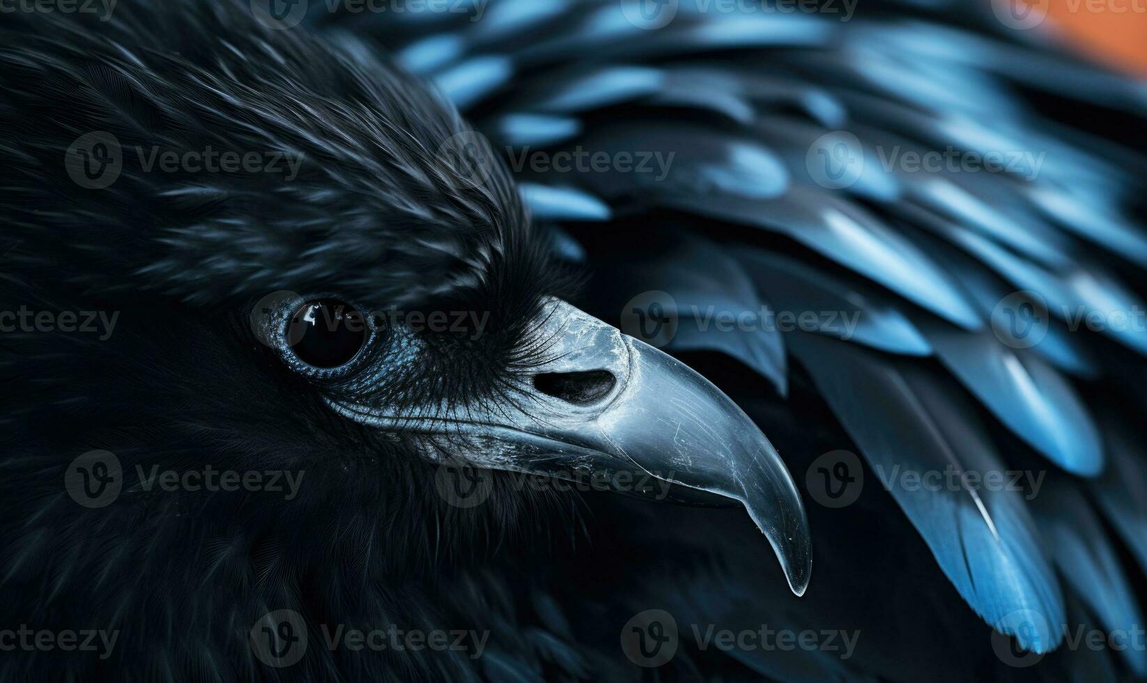 AI generated Portrait of a black raven with black eyes close up. photo