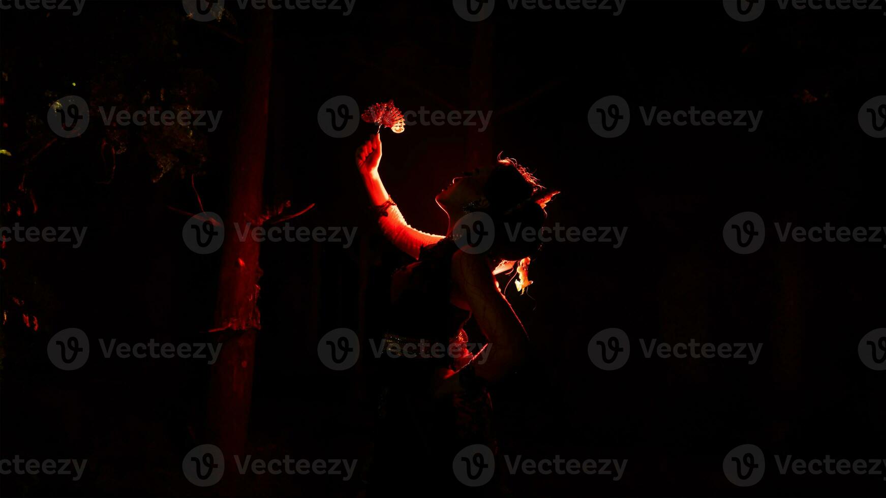 the silhouette of a female dancer holding jewelry that looks like a reflection reflecting in the dim light photo