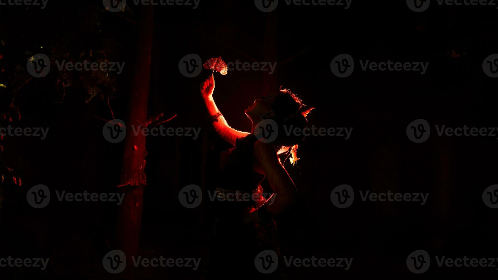 the silhouette of a female dancer holding jewelry that looks like a reflection reflecting in the dim light photo