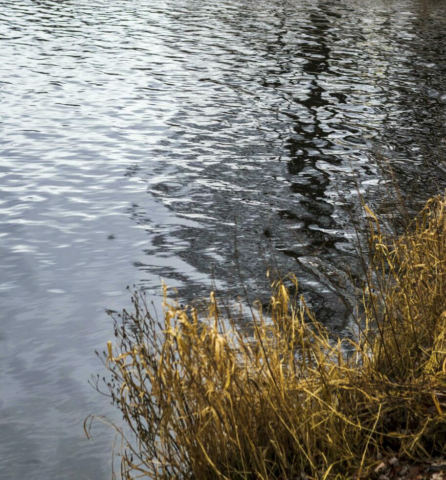 Landscape shot of the lake during cold season. Nature photo