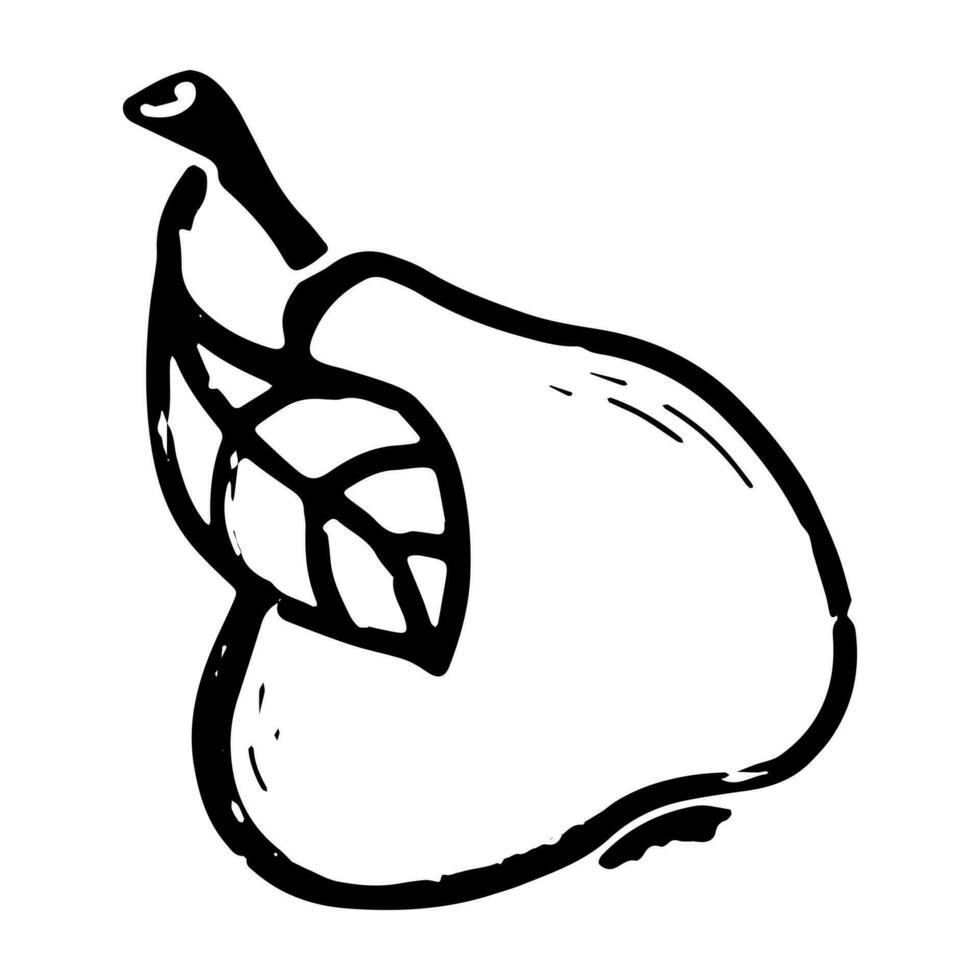 a black and white drawing of a pear with leaves vector