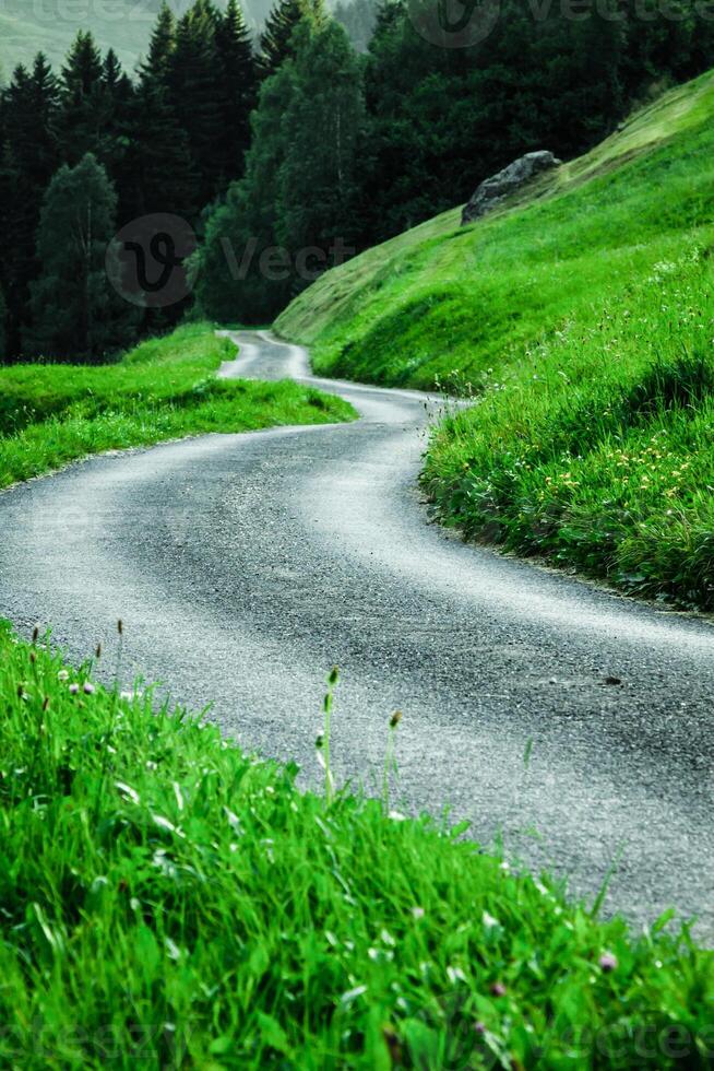 Scenic road through green forest in Switzerland photo