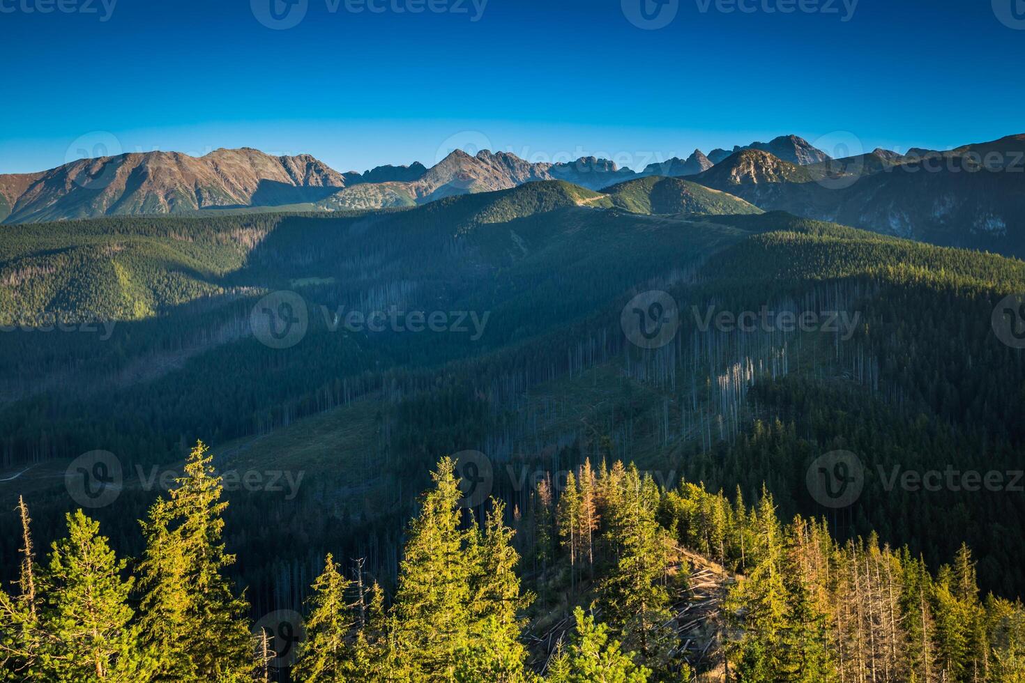 View of Tatra Mountains from hiking trail. Poland. Europe. photo