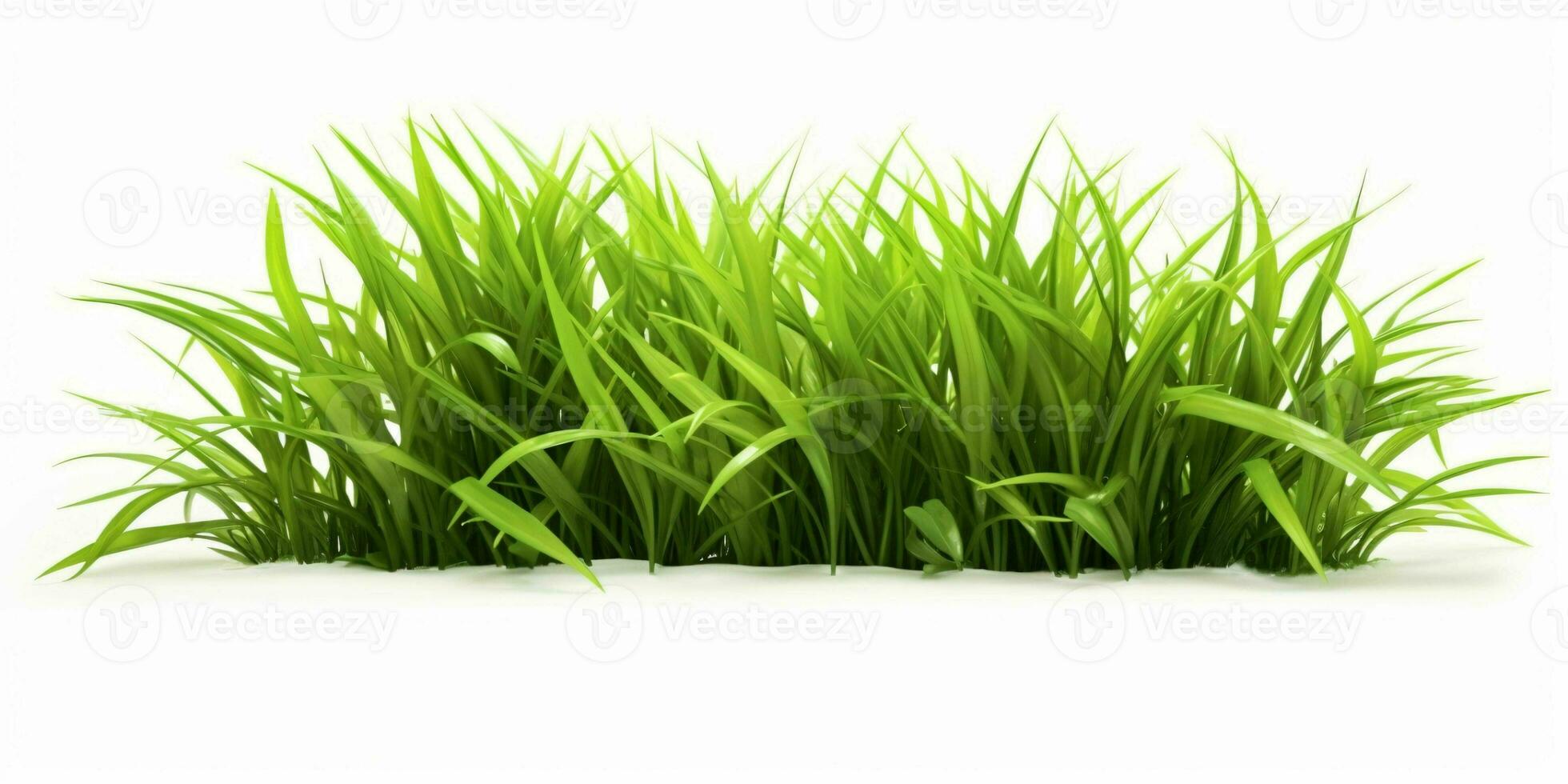 AI generated Fresh Green Grass Isolated on White Background. Generative AI photo