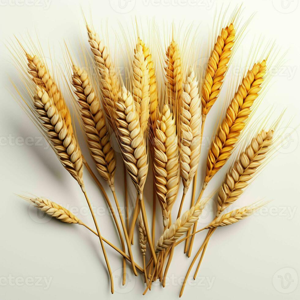 AI generated Close up of Wheat Ears Isolated on White Background. Wheat Grain. Generative AI photo