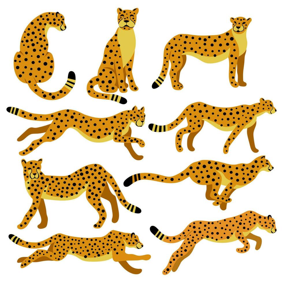 Cheetah action set vector