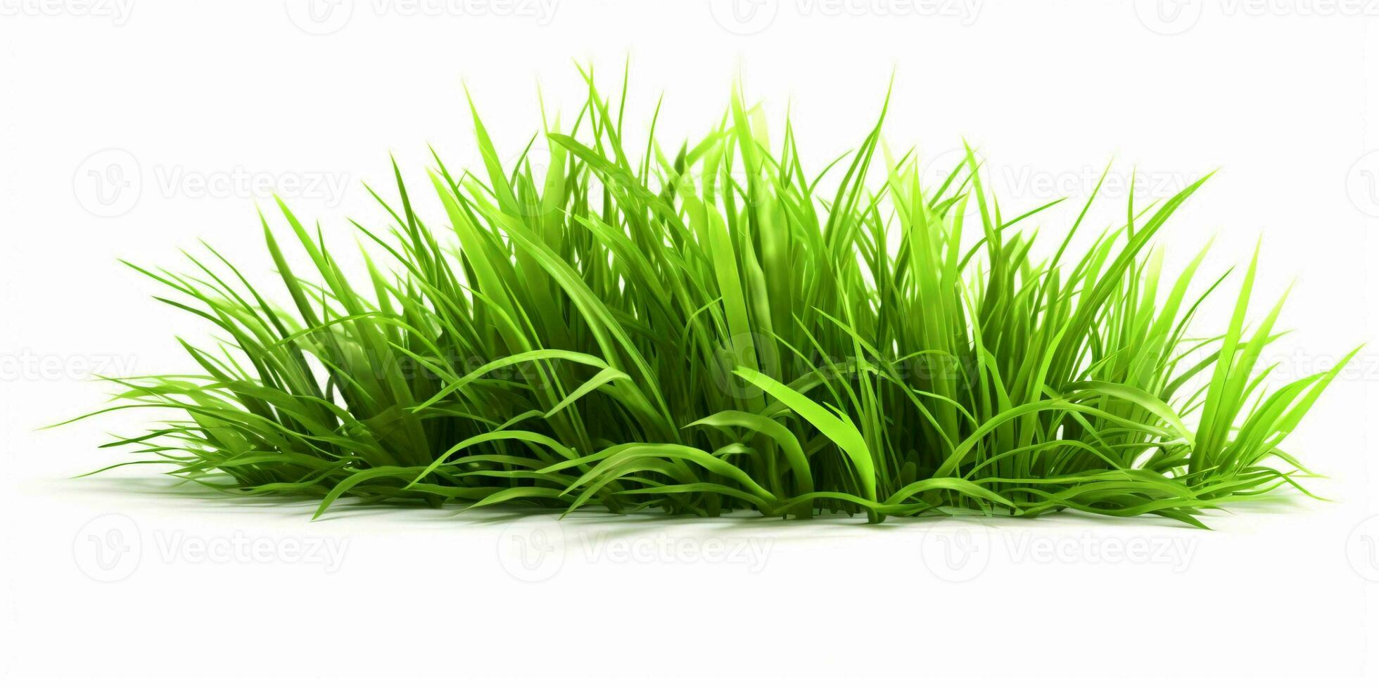 AI generated Fresh Green Grass Isolated on White Background. Generative AI photo