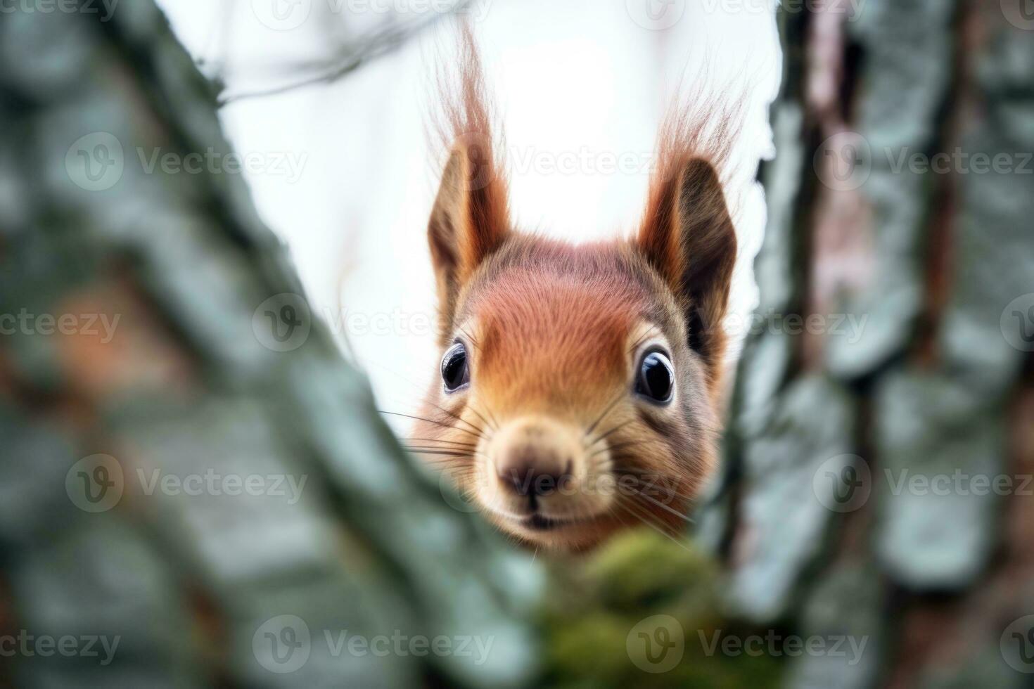 AI generated a cute squirrel peeks out of a tree hole photo