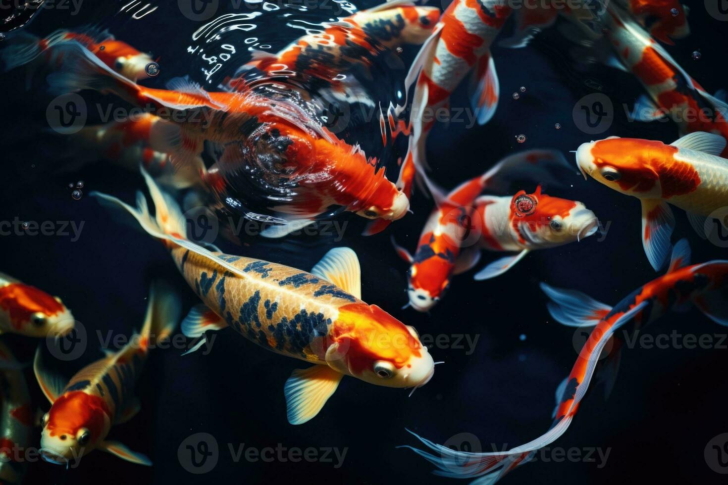 AI generated Group of Koi fish swim in a pond with clear water photo