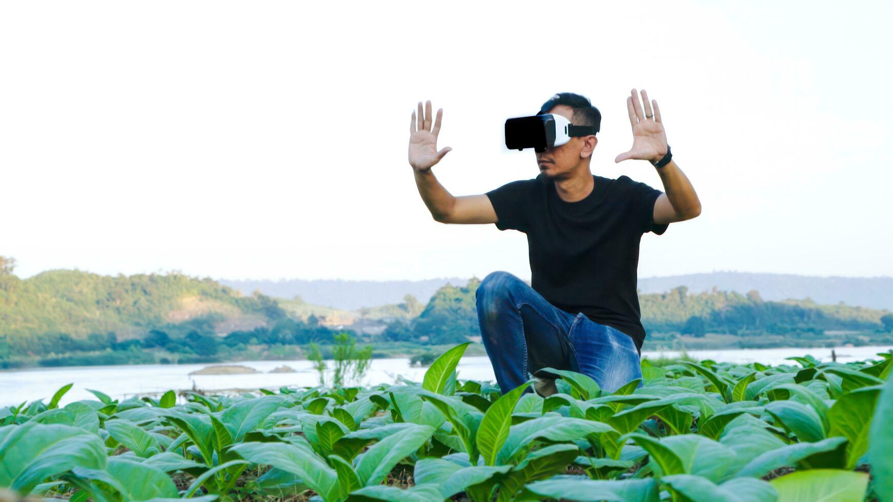 joven inteligente fama utilizar el vr máscara núcleo datos red realidad comprobación el calidad de tabaco hojas en un tabaco plantación en tailandia foto